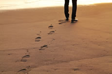 家出・人探し調査